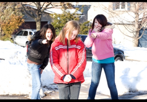 Crianças e adolescentes quando sofrem bullying podem tornar-se adultos com baixa autoestima, com problemas de relacionamento e até mesmo adquirir um comportamento agressivo.