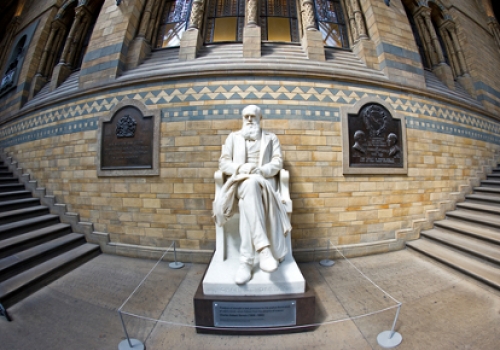 Estátua de Charles Darwin, no Museu de História Natural de Londres, Reino Unido.